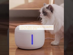 Indoor Pet Water Dispenser Bronze Lady Resin 213×213×145mm 5V DC