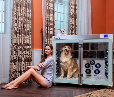 220V 2500W Pet Dryer Cage 6 Blowers Low Noise For Dog Grooming