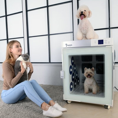 Cabinet Dog Hair Dryer Machine Negative Ion Bath Near Infrared Therapy