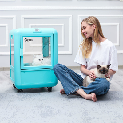 Blue PET Drying Room box PTC Air Bath Constant Temperature Energy Saving