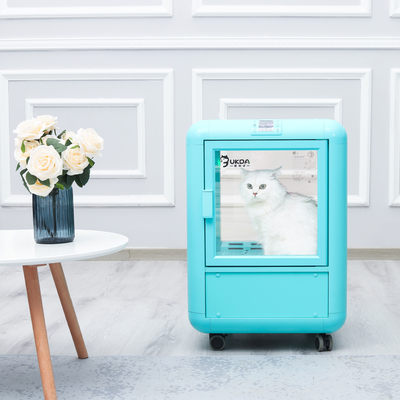 220V 1650W PET Drying Room Spa Care , Low Noise Pet Hair Dryer Box
