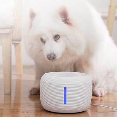 Smart Pet Water Dispenser Cat Stainless Steel Circulating Filter Usb Charging